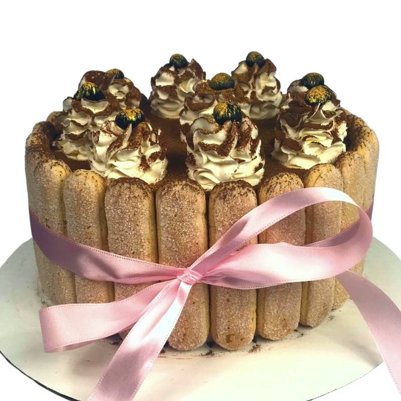 Tiramisu cake with cream and ladyfinger biscuits from calgary home baker