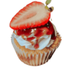 creme brulee cupcake from a calgary home baker